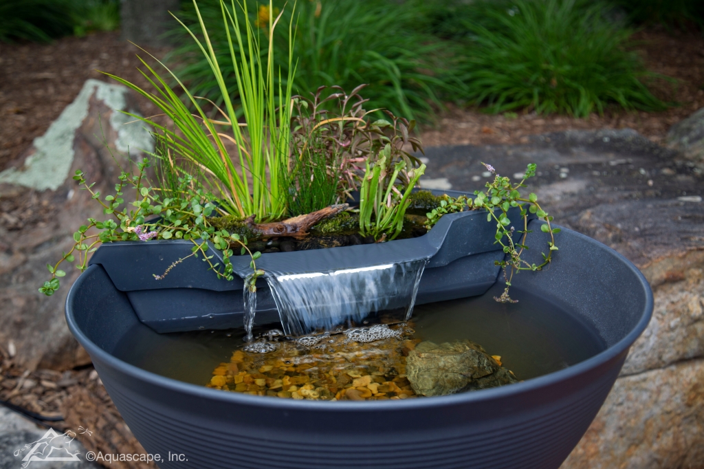 aquagarden mini pond kit