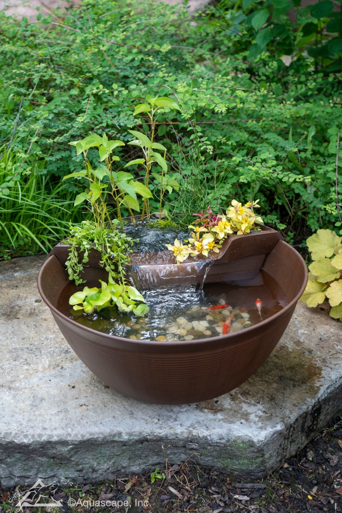 aquagarden mini pond kit