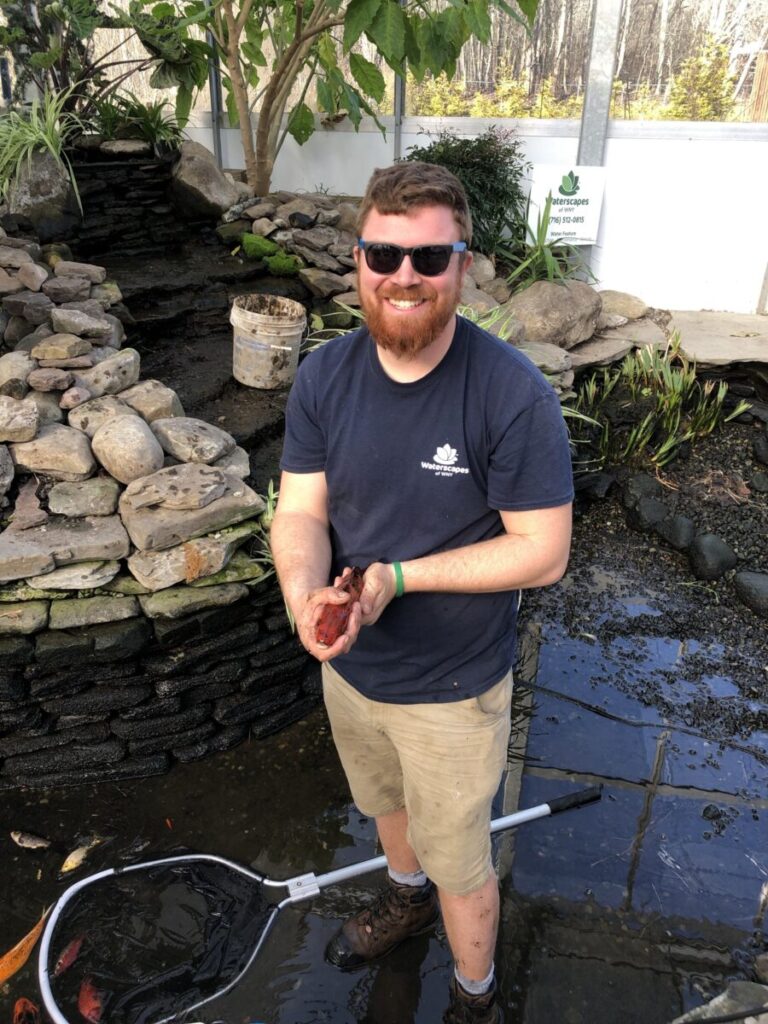 Cleaning a fish pond